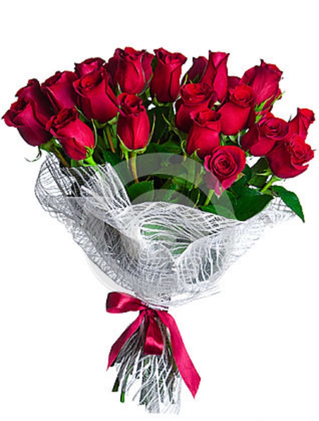 15 fresh red roses